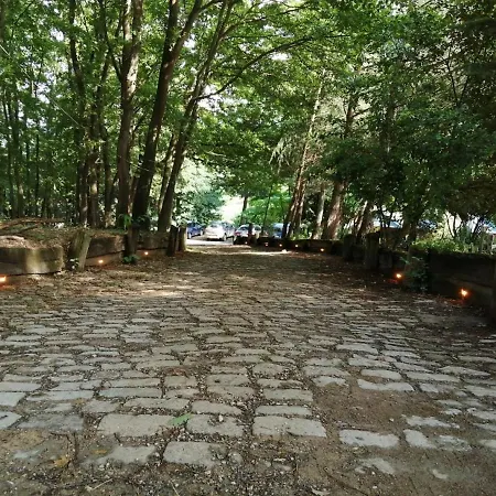 Sakarya Atli Spor Koyu